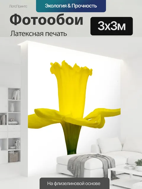 300 × 300 см · Латексная печать