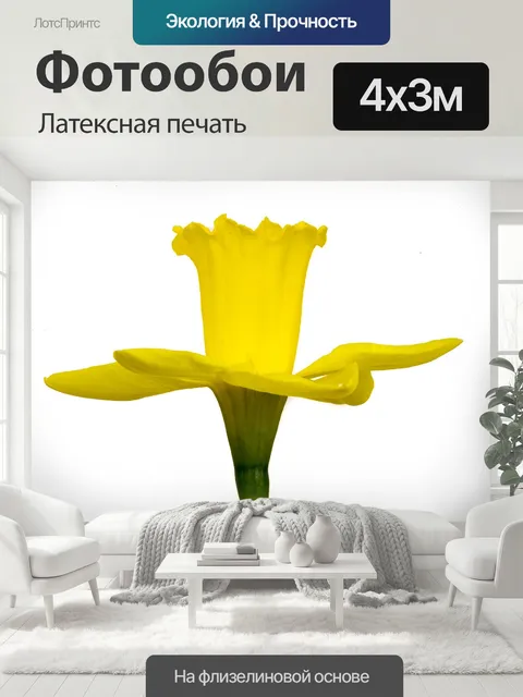 400 × 300 см · Латексная печать