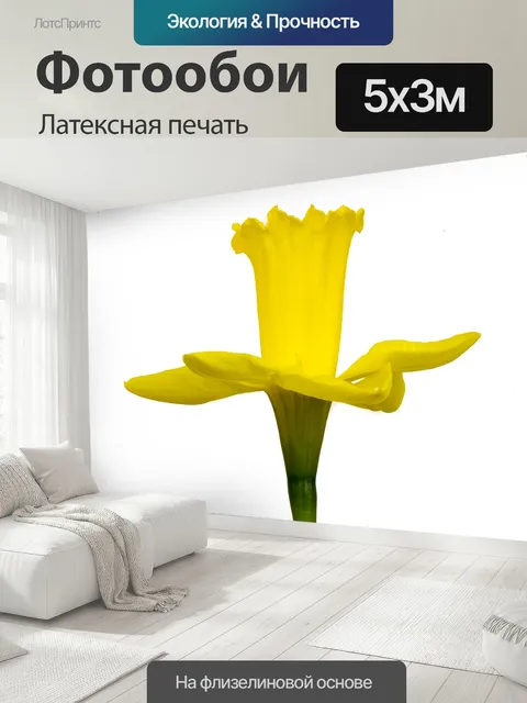 500 × 300 см · Латексная печать