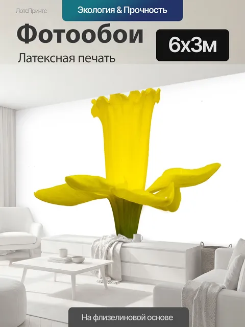 600 × 300 см · Латексная печать
