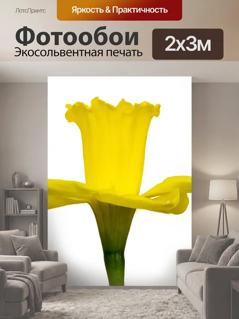 200 × 300 см · Экосольвентная печать
