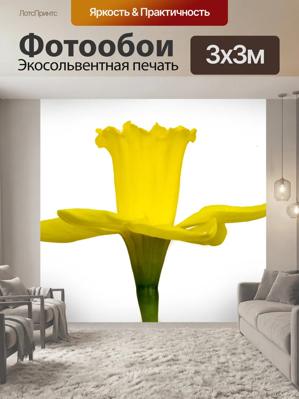 Фотообои Нарцисс, цветок, жёлтый