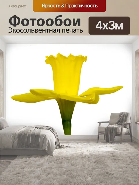 400 × 300 см · Экосольвентная печать