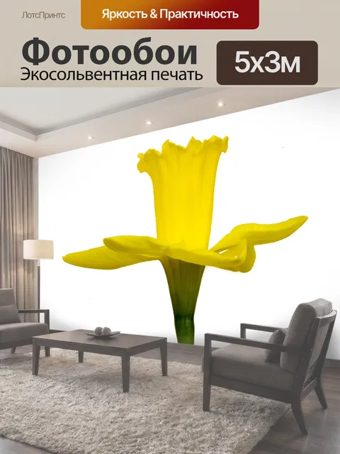 500 × 300 см · Экосольвентная печать