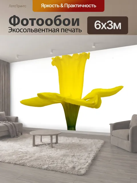 600 × 300 см · Экосольвентная печать