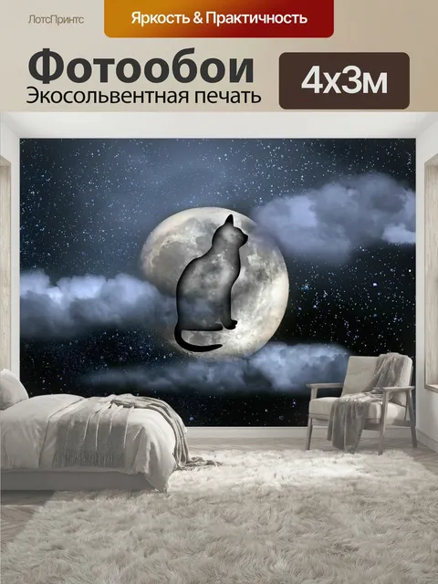 400 × 300 см · Экосольвентная печать