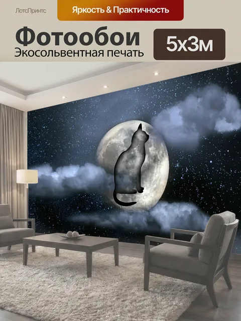 500 × 300 см · Экосольвентная печать