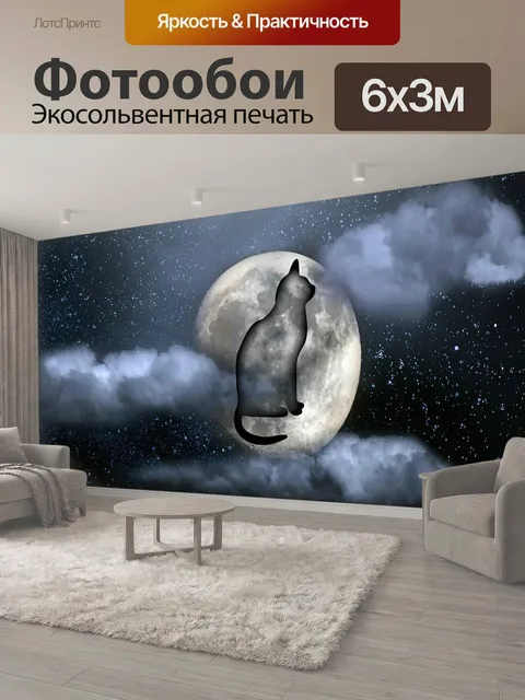 600 × 300 см · Экосольвентная печать