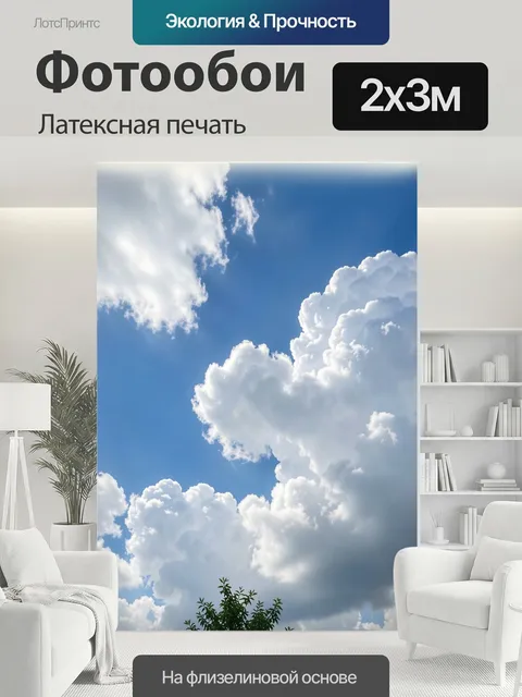 200 × 300 см · Латексная печать
