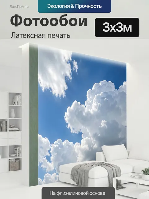 300 × 300 см · Латексная печать
