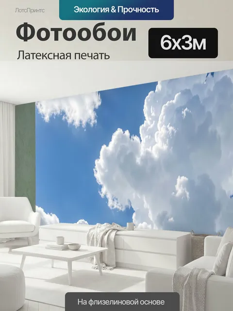 600 × 300 см · Латексная печать