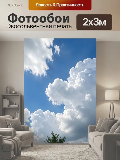200 × 300 см · Экосольвентная печать