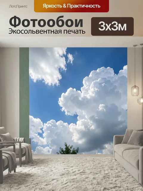 300 × 300 см · Экосольвентная печать