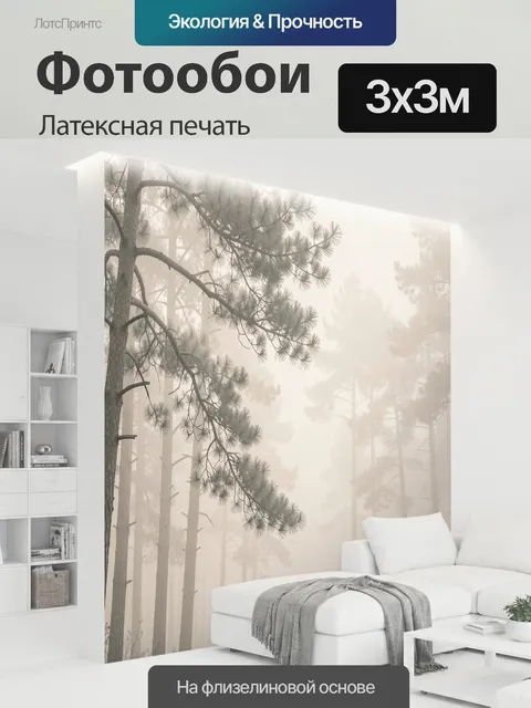 300 × 300 см · Латексная печать