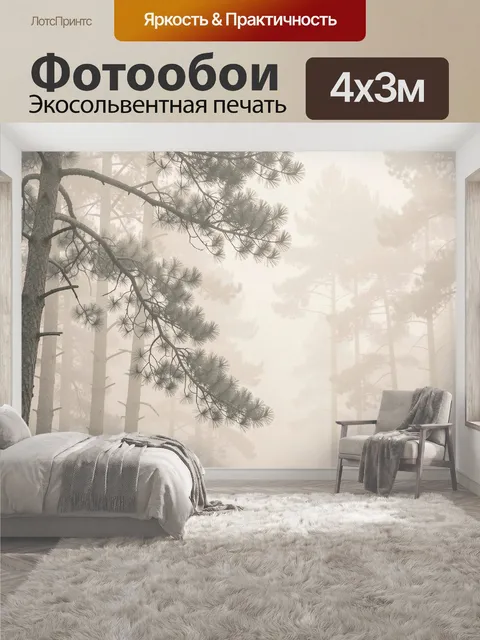 400 × 300 см · Экосольвентная печать