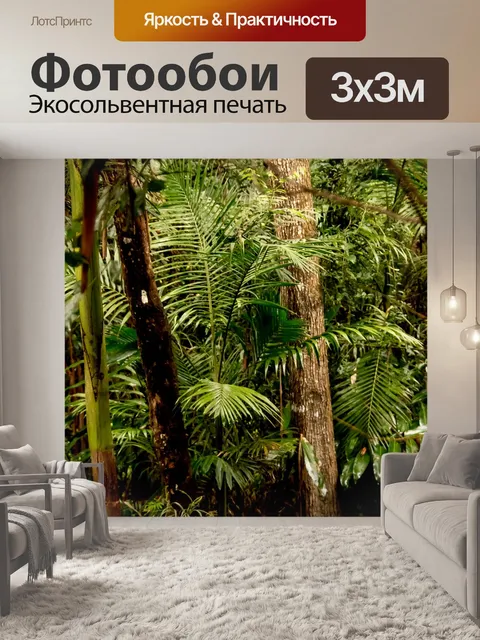 Фотообои Тропический лес, лес, камеди