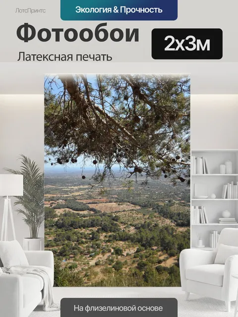 200 × 300 см · Латексная печать