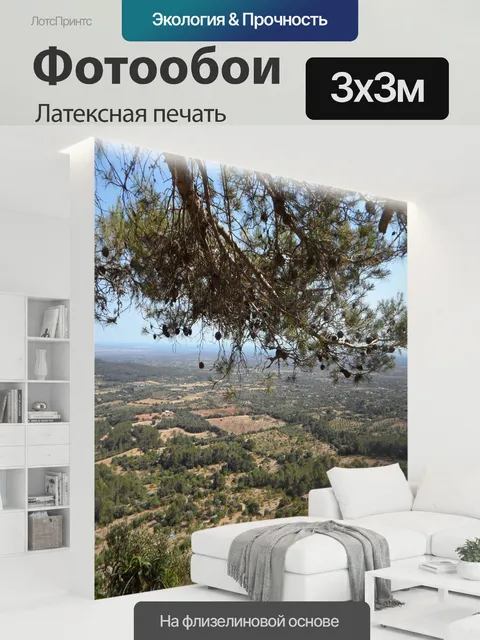 300 × 300 см · Латексная печать