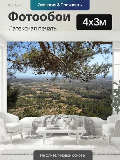 400 × 300 см · Латексная печать