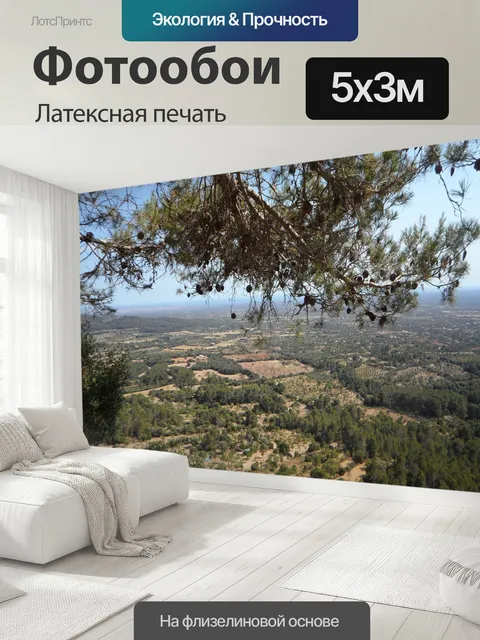 500 × 300 см · Латексная печать