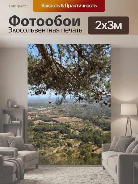 200 × 300 см · Экосольвентная печать