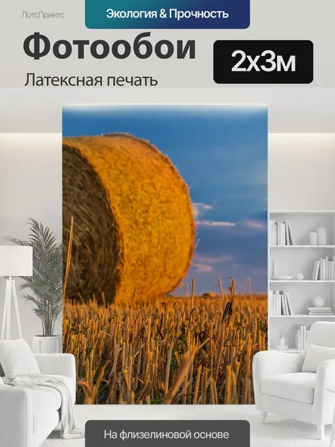 200 × 300 см · Латексная печать
