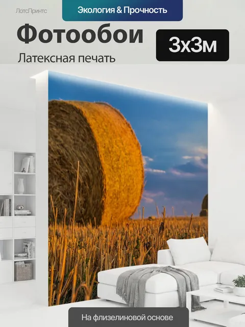 300 × 300 см · Латексная печать