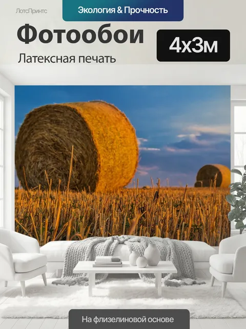 400 × 300 см · Латексная печать