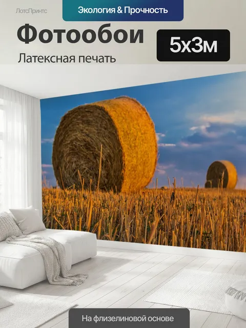 500 × 300 см · Латексная печать
