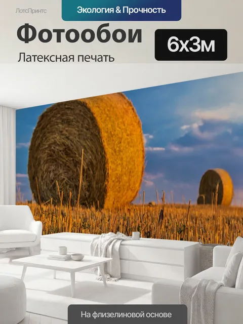 600 × 300 см · Латексная печать