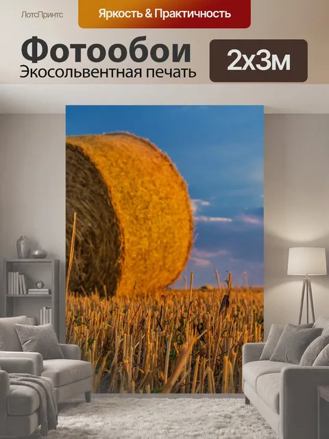200 × 300 см · Экосольвентная печать