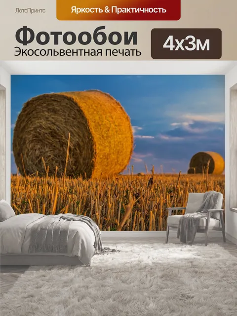400 × 300 см · Экосольвентная печать