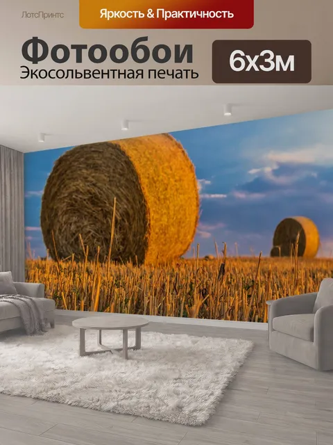 600 × 300 см · Экосольвентная печать