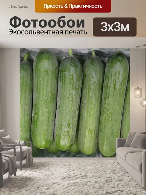 Фотообои Мини-огурцы, огурцы, салат