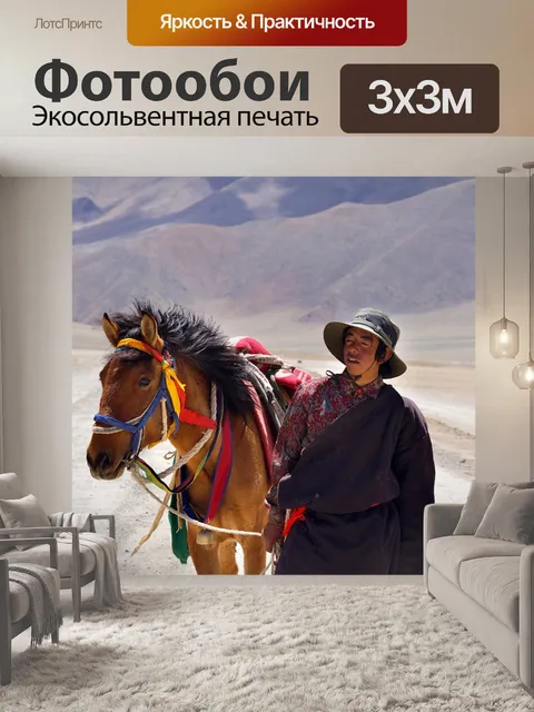 Фотообои Тибет, вранглер, лошадь