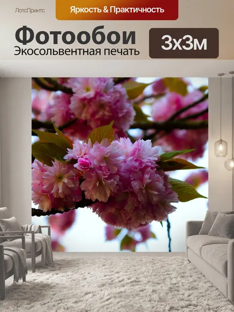 Фотообои Цвести, розовый, 6000 4000