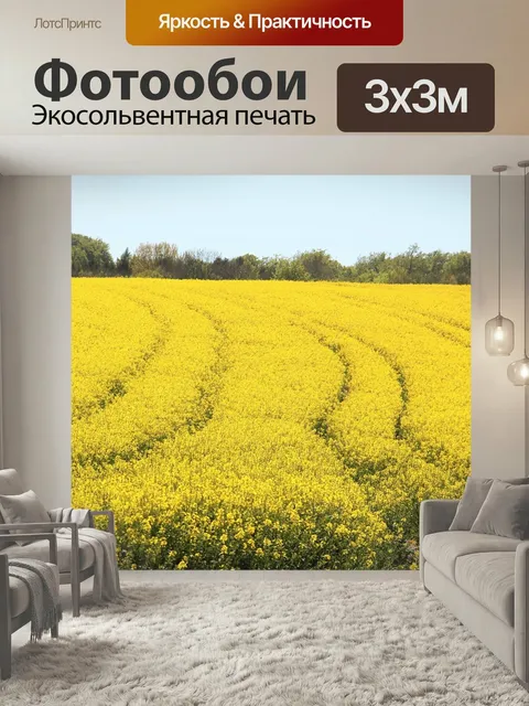 Фотообои Поле рапса, в полном расцвете, желтый
