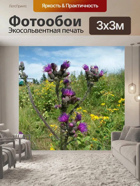 Фотообои Цветок, природа, завод