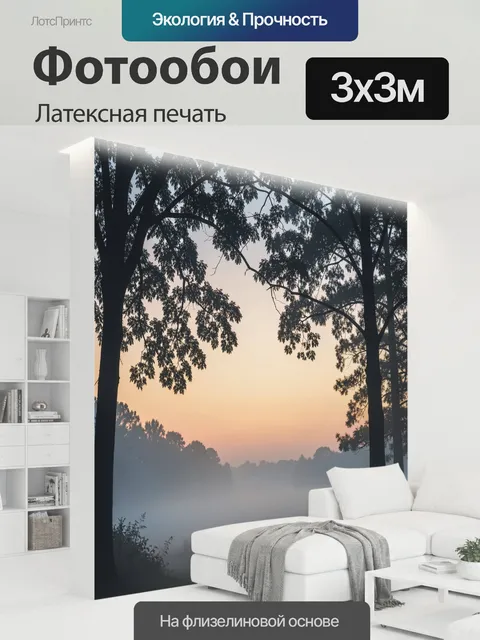 300 × 300 см · Латексная печать