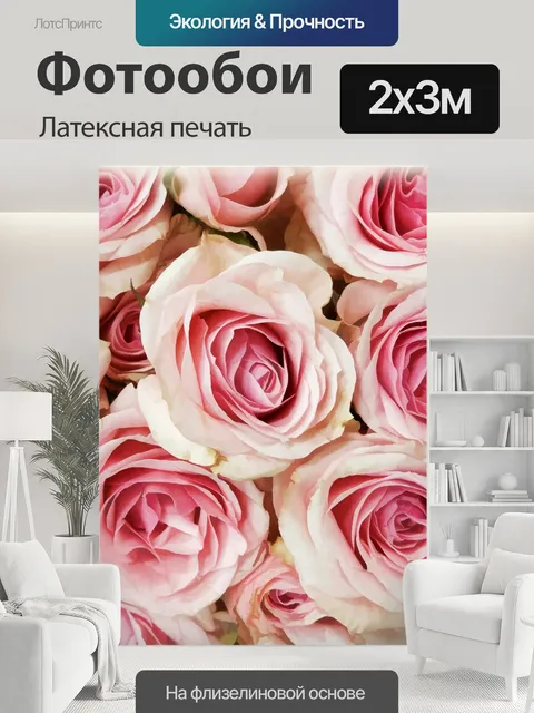200 × 300 см · Латексная печать