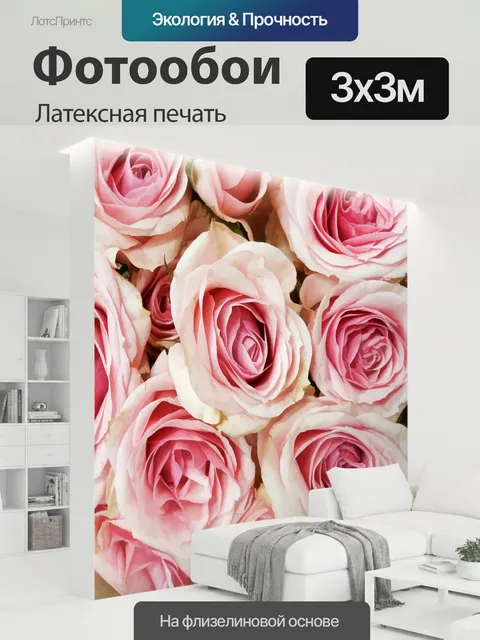 300 × 300 см · Латексная печать