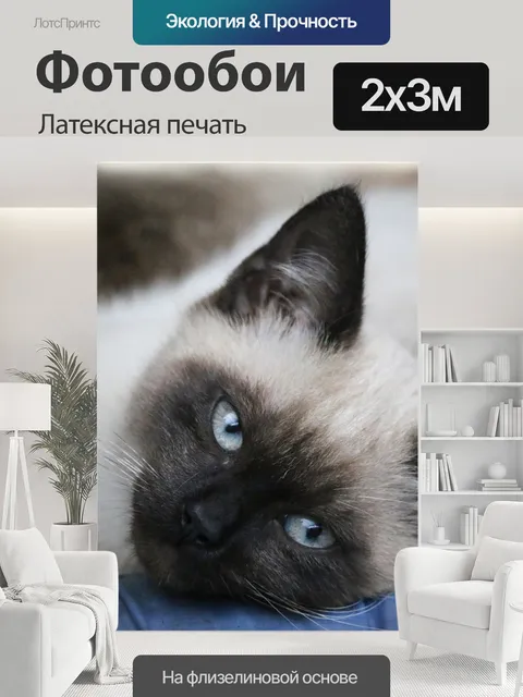 200 × 300 см · Латексная печать
