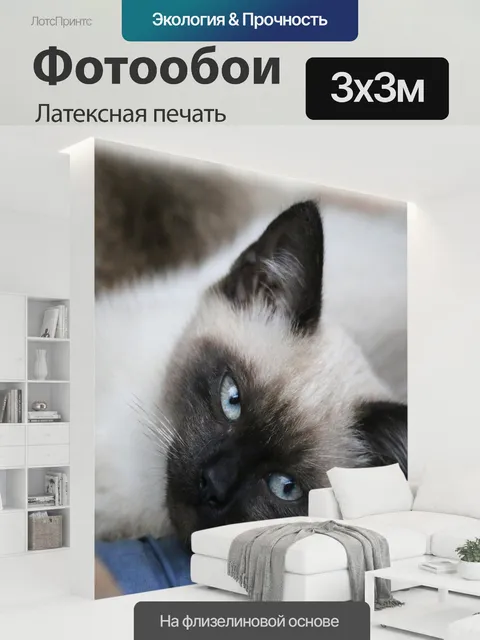 300 × 300 см · Латексная печать