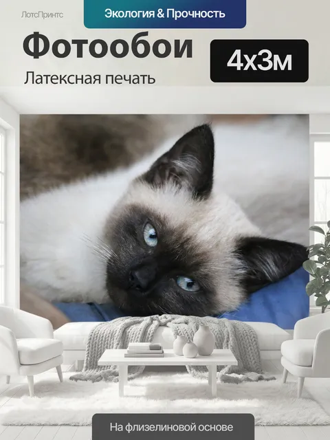 400 × 300 см · Латексная печать