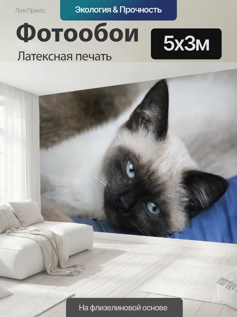 500 × 300 см · Латексная печать