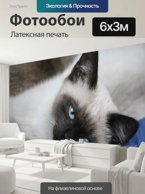 600 × 300 см · Латексная печать