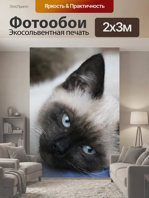 200 × 300 см · Экосольвентная печать