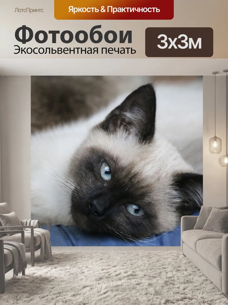 Фотообои Сиамский, кошка, животное