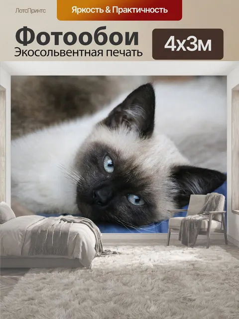 400 × 300 см · Экосольвентная печать