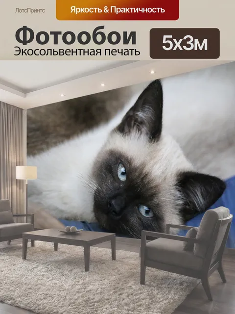 500 × 300 см · Экосольвентная печать